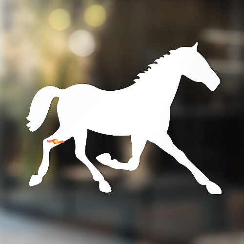Paard vinyl kunst muur raam badkamer sticker sticker #3
