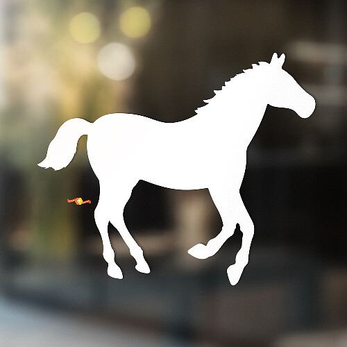 Paard vinyl kunst muur raam badkamer sticker sticker #5
_1