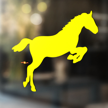Paard vinyl kunst muur raam badkamer sticker sticker #6
_3