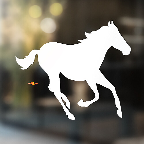 Paard vinyl kunst muur raam badkamer sticker sticker #7
