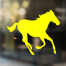 Paard vinyl kunst muur raam badkamer sticker sticker #7
_3