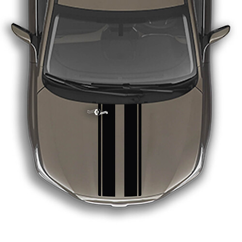 Dual Racing Hood Stripes Universele maat stickers

