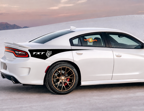 TXT Custom Cat Head Tapered Stripe Pair Achterspatbord Vinylsticker voor Dodge Charger SRT, Hellcat 2011-2020