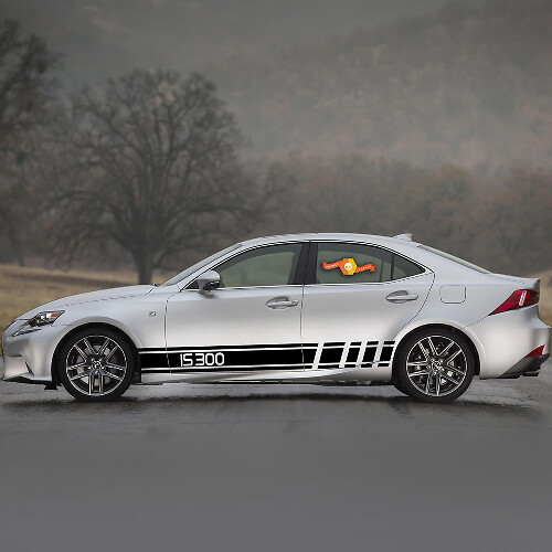 2X meerdere kleuren grafisch symbool Sport Car Racing Vinyl Decal Sticker voor IS300
