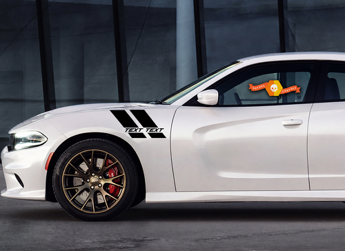 TEXT TEXT Double Hash Stripe Kit — Vinylsticker (spatbord) voor Dodge Charger 2011-2014