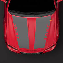 Dubbele Custom Motorkapstrepen Vinyl Decal voor Chrysler 300C 2014_3