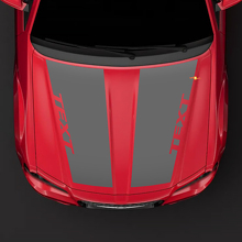 Chrysler 300C HEMI-stijl motorkapsticker sticker bovenaan verduisterend voorgesneden
 3