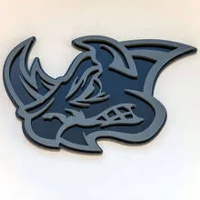 Rhino Custom 3D Badge Spatbordembleem – Duurzame Vinylsticker