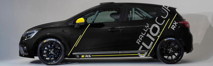 Article: Renault-stickers Stickers
